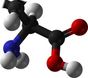 L-amino_acid_any